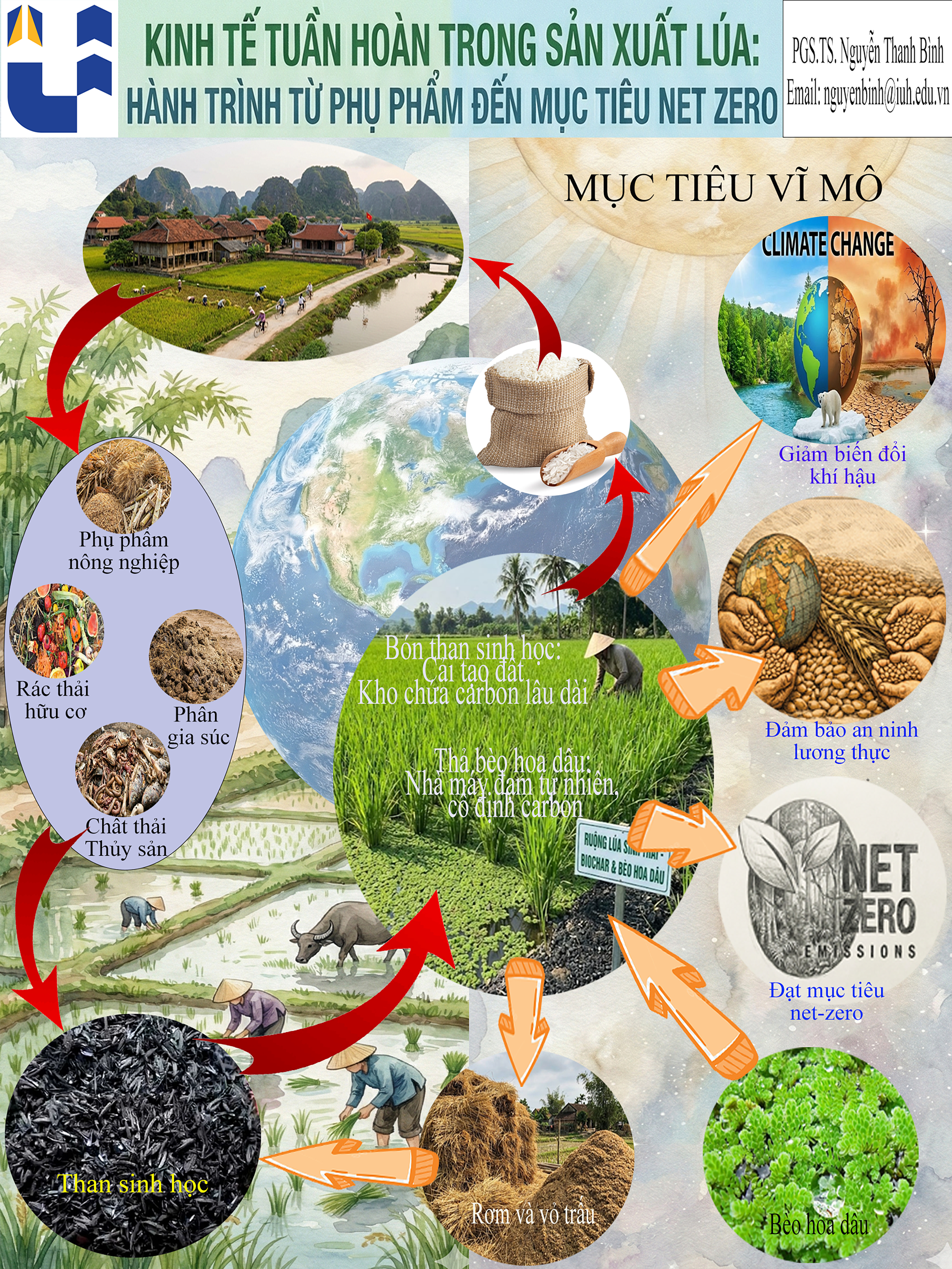 Tuần hoàn trong sản xuất lúa