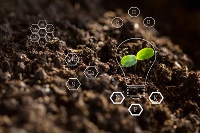 Giám sát chất lượng đất thông qua công nghệ IOT