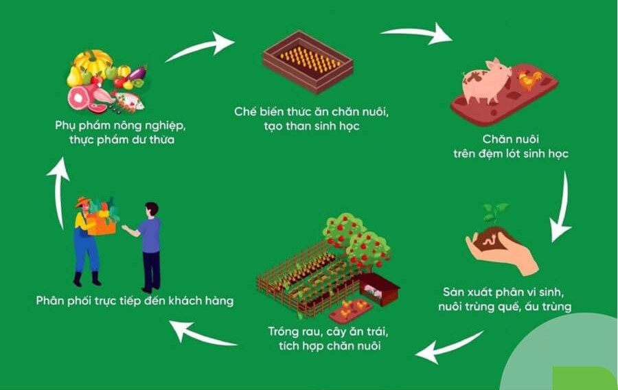 Hệ thống canh tác tuần hoàn bền vững