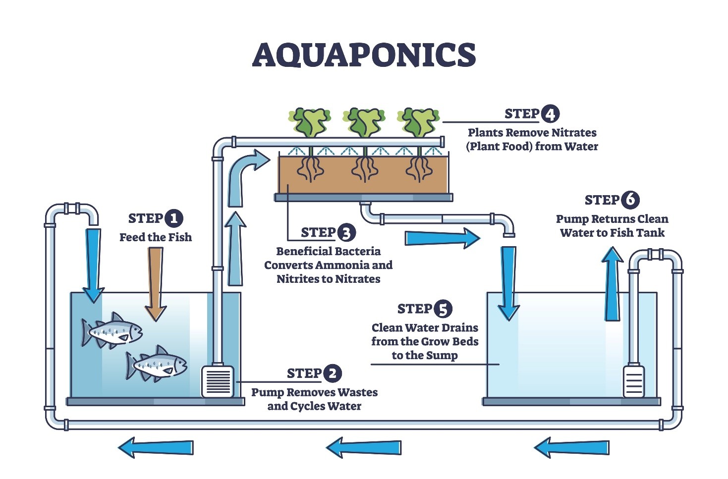 Hệ thống Aquaponics - Mô hình tuần hoàn đô thị