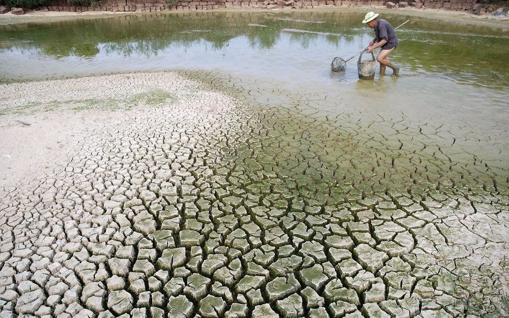 Phục hồi đất suy thoái bằng tiếp cận không gian