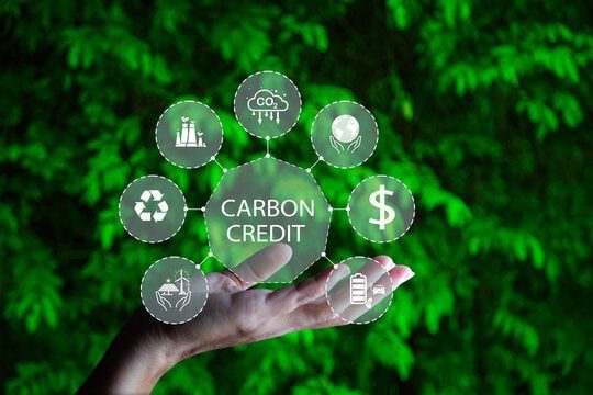 Chuyển dịch năng lượng và tín chỉ carbon