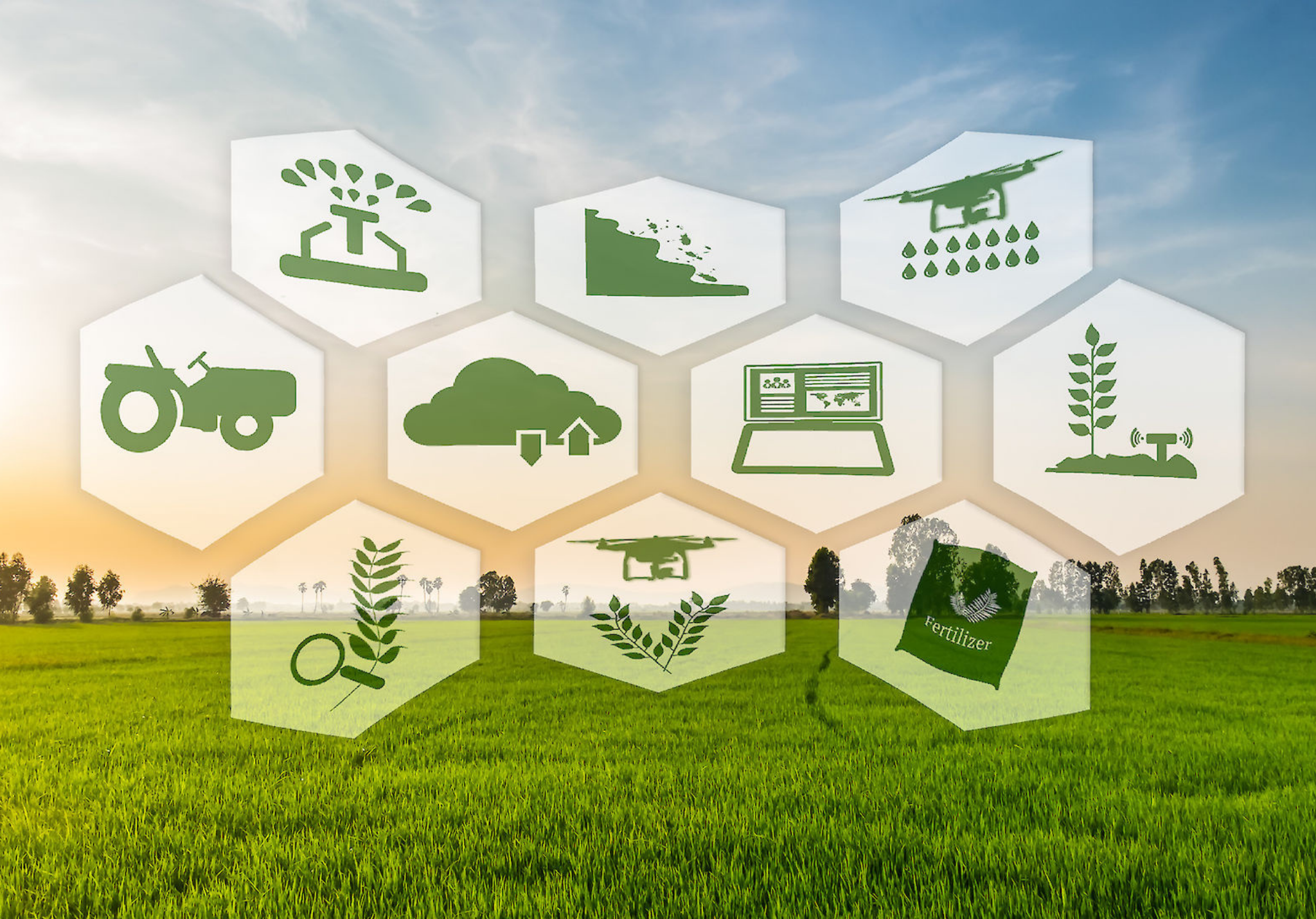 Giới thiệu kinh tế tuần hoàn trong nông nghiệp